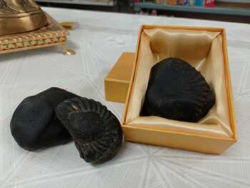 SHALIGRAM ( Small)