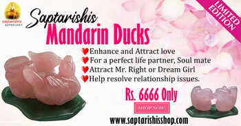 Mandarin Ducks ( For love & Relationship)