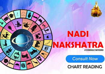 Nadi Nakshatra Chart Reading  [SA]