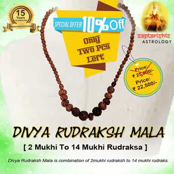 Divya Rudraksh Mala (2mukhi to 14 mukhi rudraksa beads)