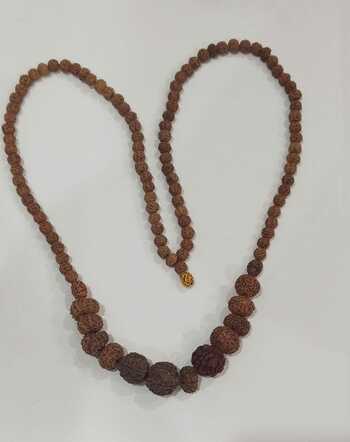 Divya Rudraksh Mala (2mukhi to 14 mukhi rudraksa beads)