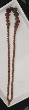 Divya Rudraksh Mala (2mukhi to 14 mukhi rudraksa beads)