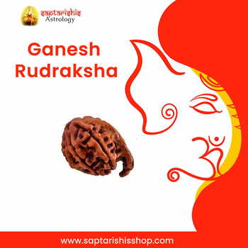 Ganesh Rudraksha-Saptarishis Astrology