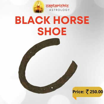 Black Horse Shoe