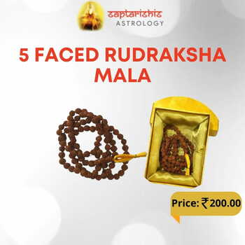 5 Faced Rudraksha Mala