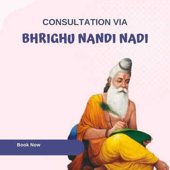 Bhrighu  Nandi Nadi  Consultation