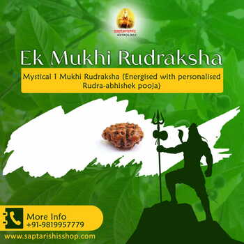 Mystical 1 Mukhi Rudraksha (Energised with personalised Rudra-abhishek pooja)