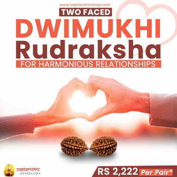 Dwimukhi ( Two faced ) Rudraksha